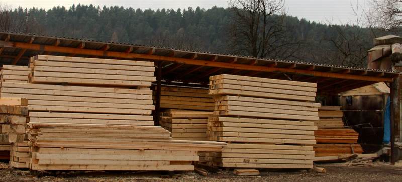 Export of high quality timber from Carpathian Forest