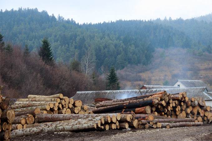 product company - logs