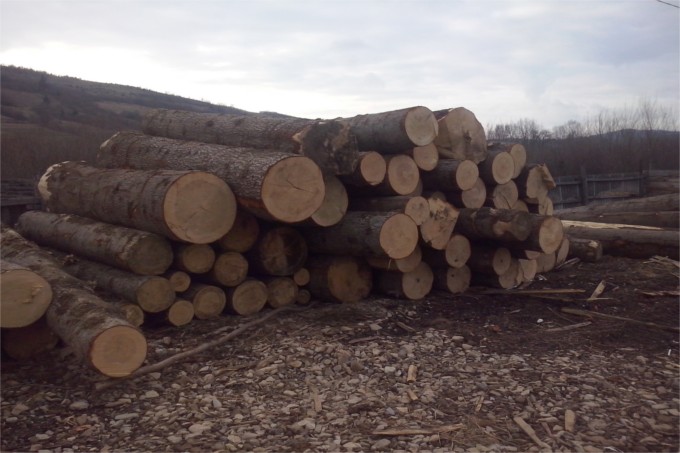 product company - logs