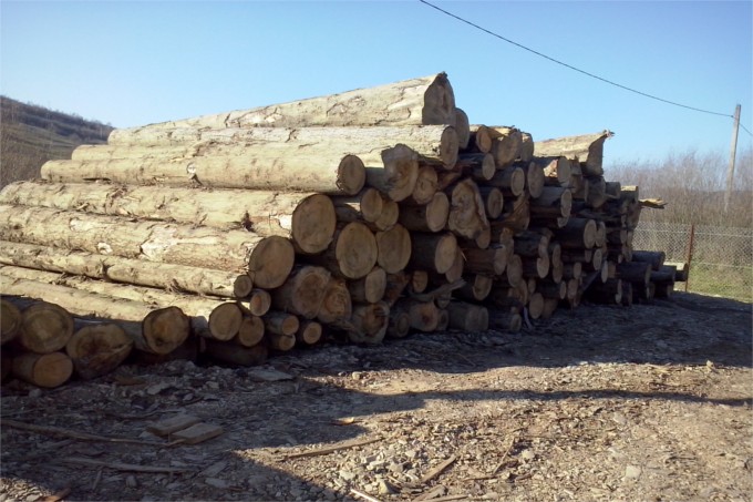 product company - logs